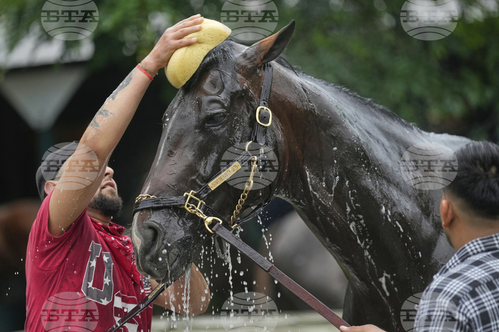 Belmont Horse Racing