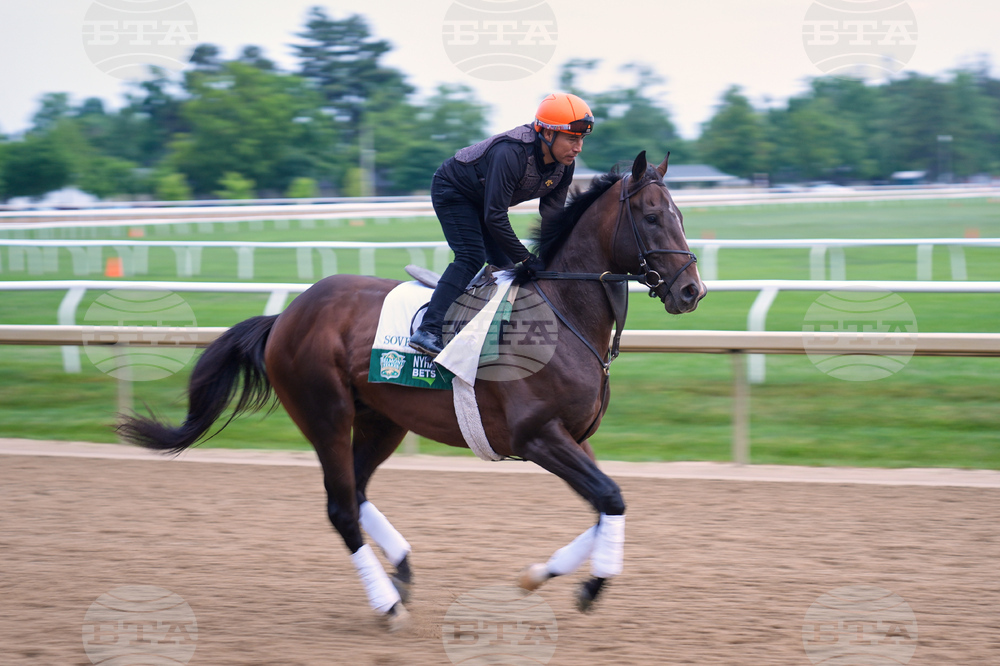 Belmont Horse Racing