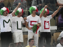 French Open Tennis