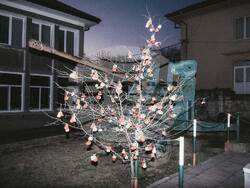 Международна изложба „Фактори на въздействие: Ако снимането има значение“ ще бъде представена в София. Снимка: Организаторите на събитието