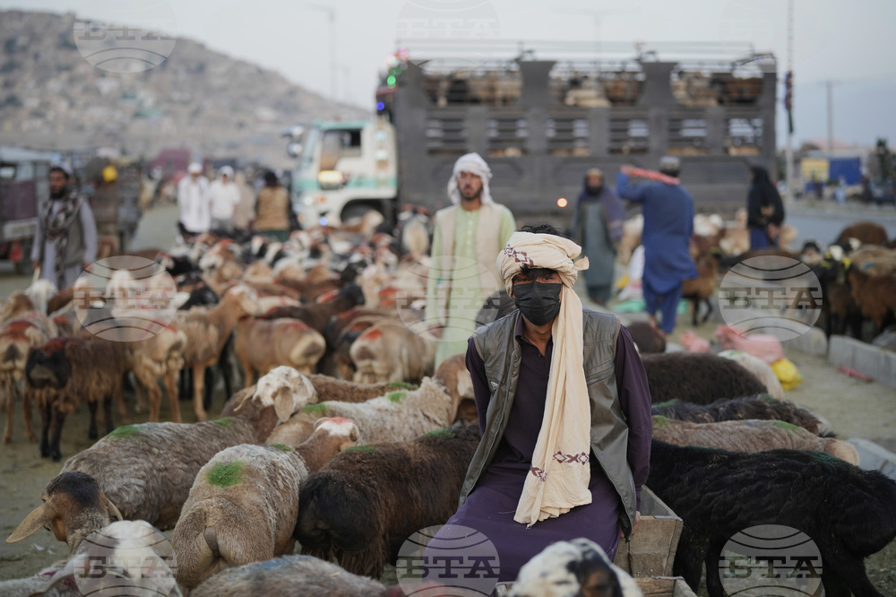 Afghanistan Eid al-Adha