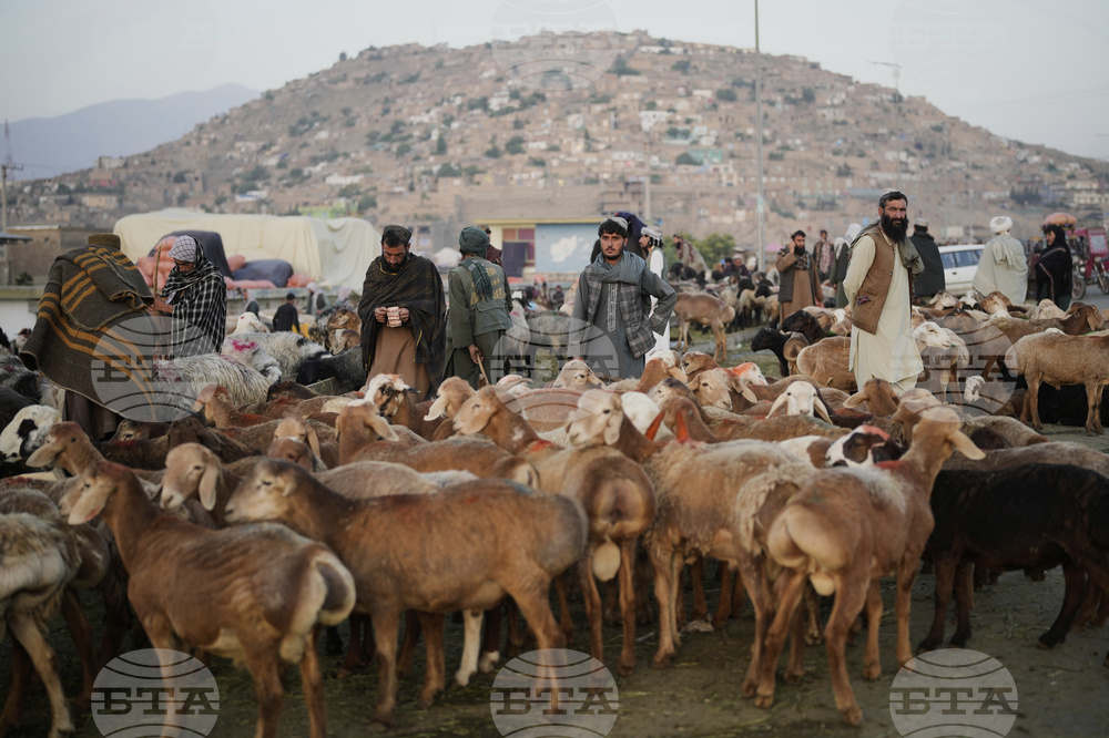 Afghanistan Eid al-Adha