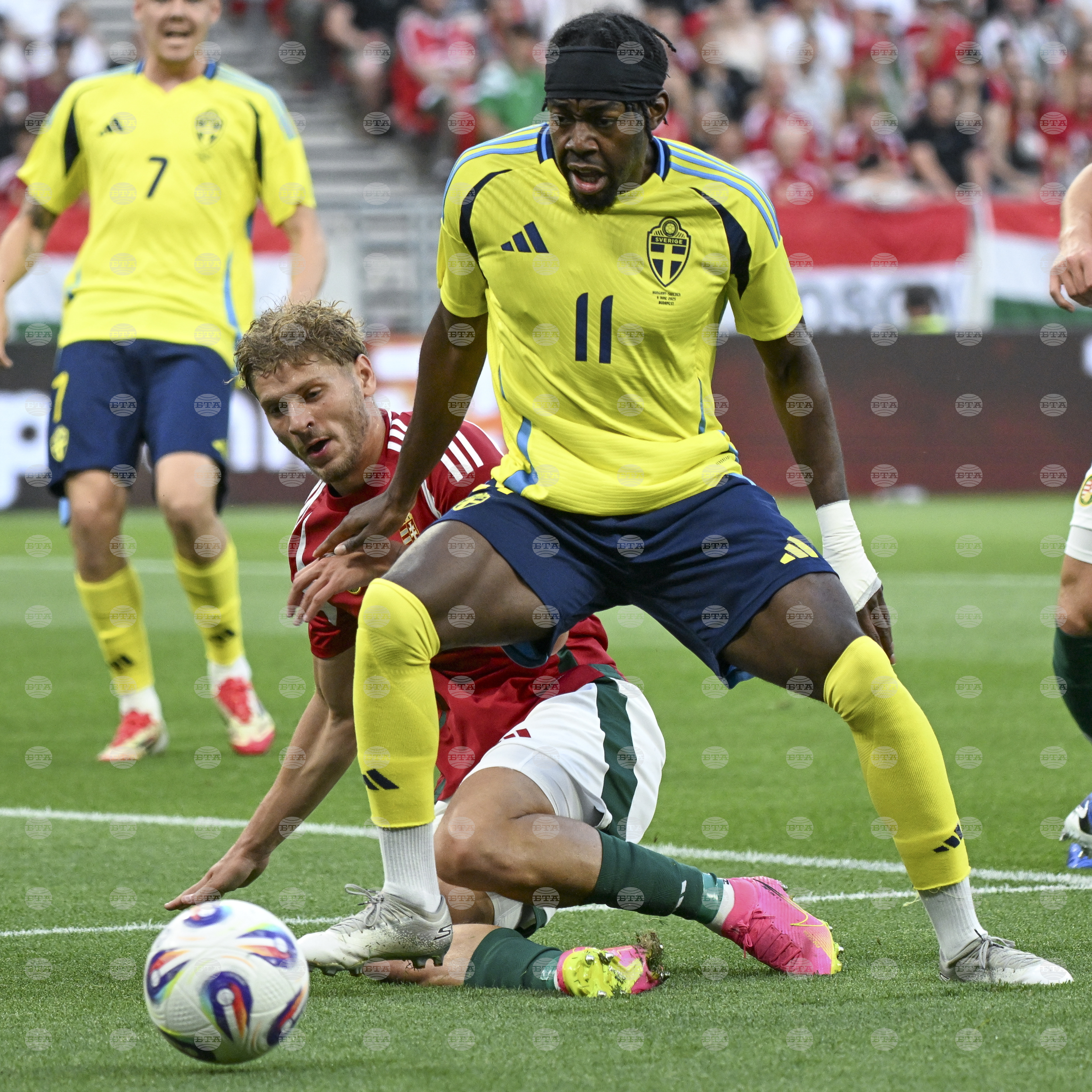 Hungary Sweden Soccer
