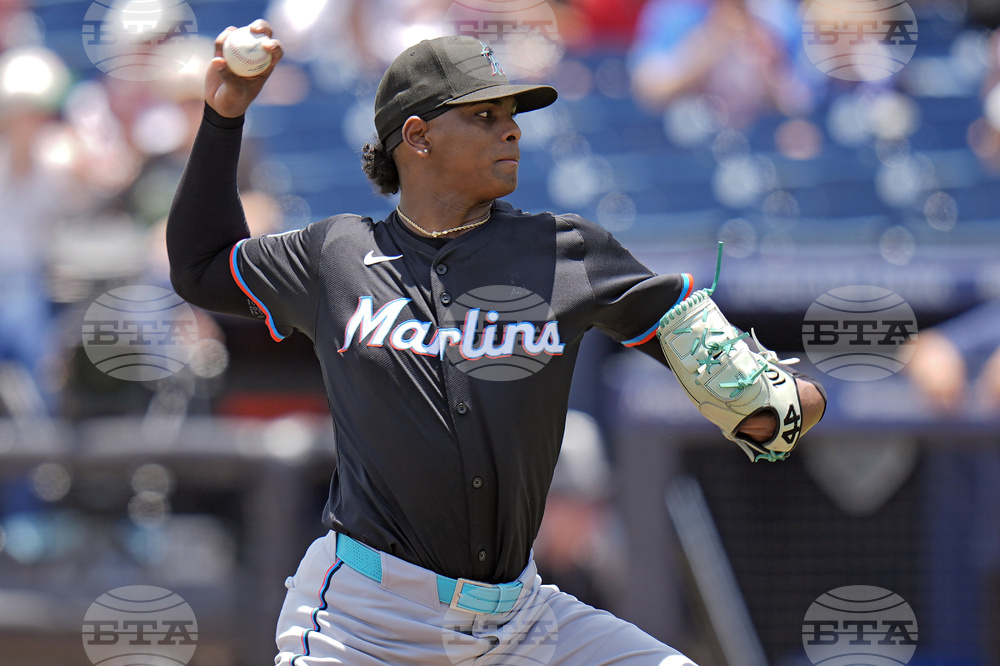 Marlins Rays Baseball