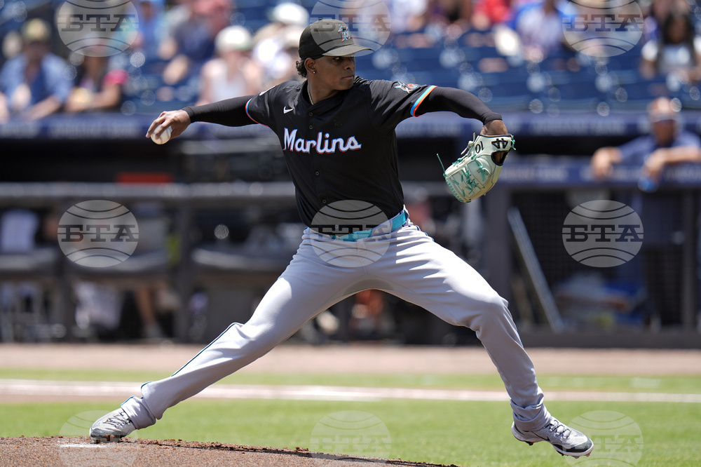 Marlins Rays Baseball