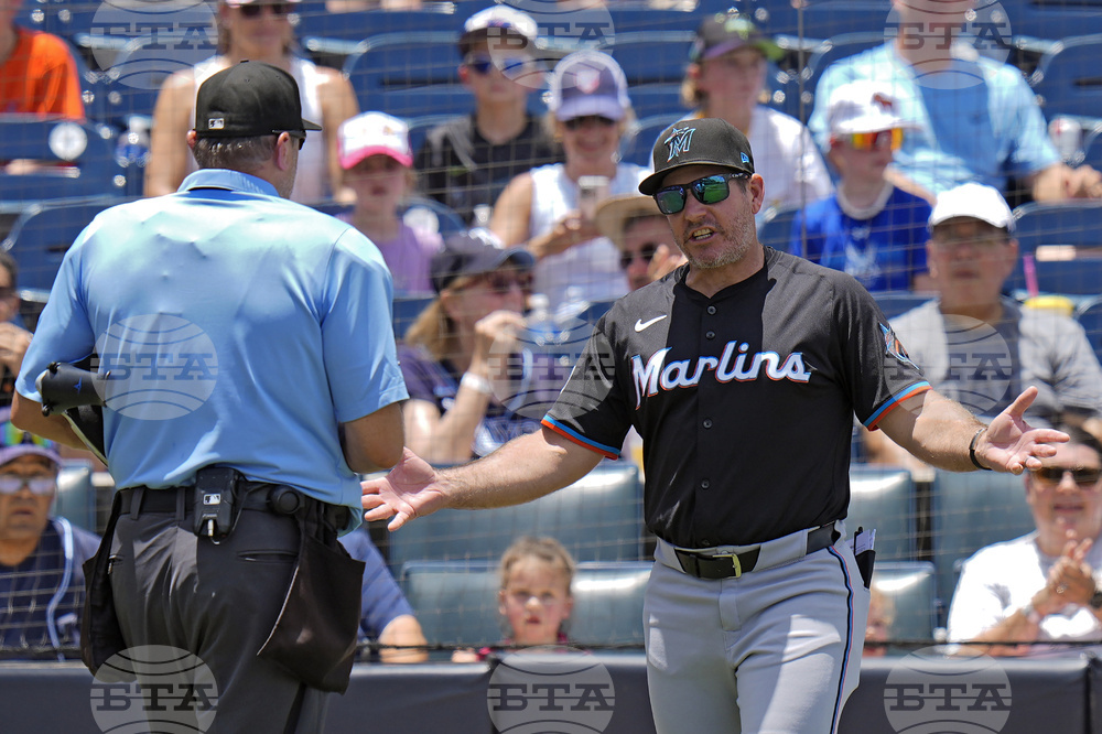 Marlins Rays Baseball
