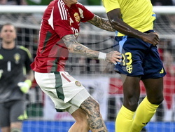 Hungary Sweden Soccer