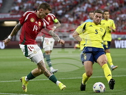 Hungary Sweden Soccer
