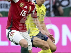 Hungary Sweden Soccer