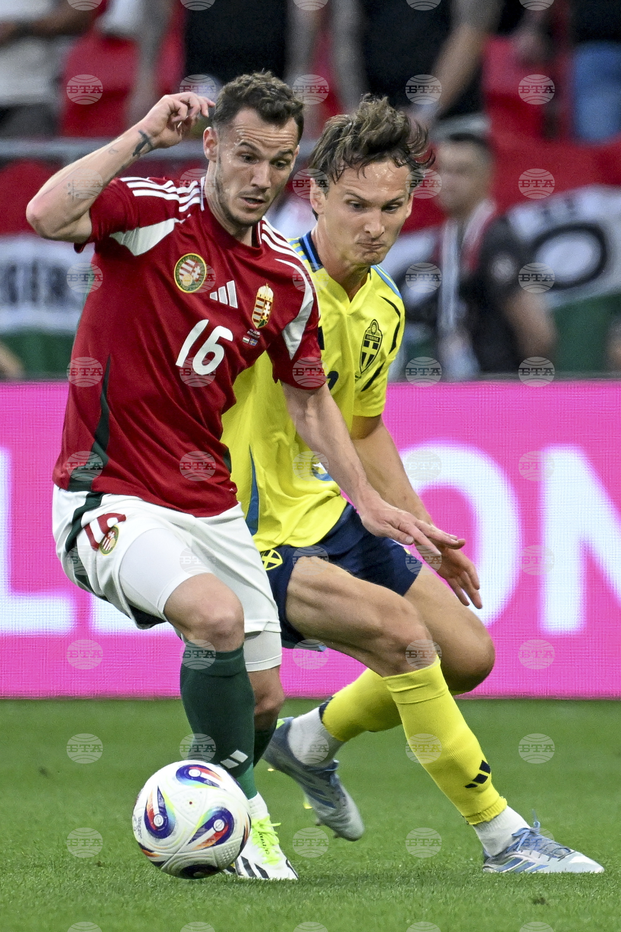 Hungary Sweden Soccer