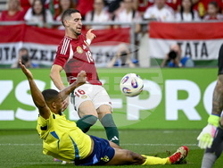 Hungary Sweden Soccer