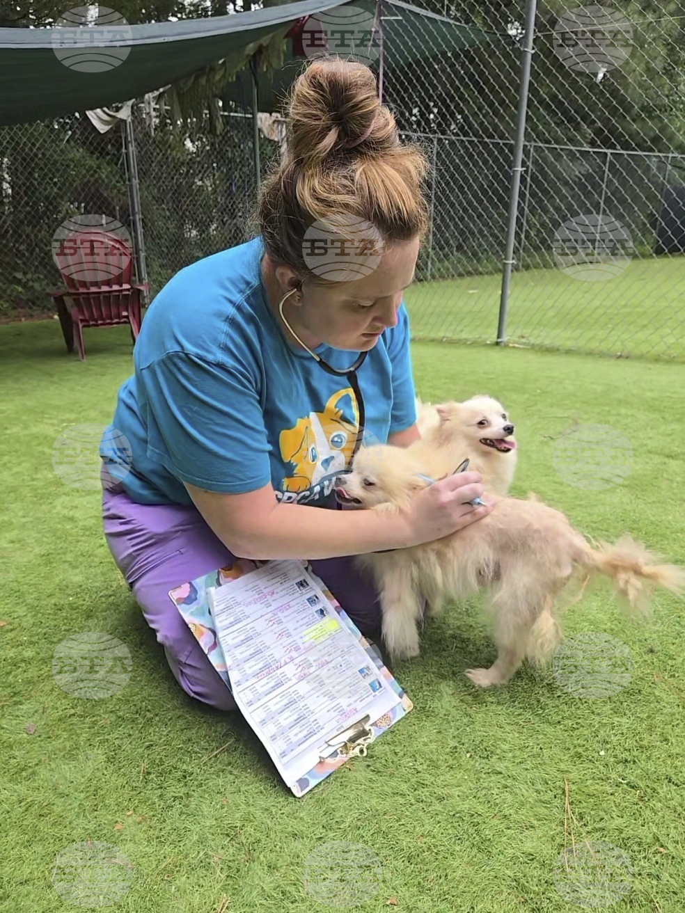 Dog Rescue North Carolina
