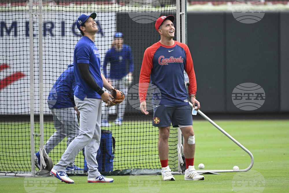 Dodgers Cardinals Baseball