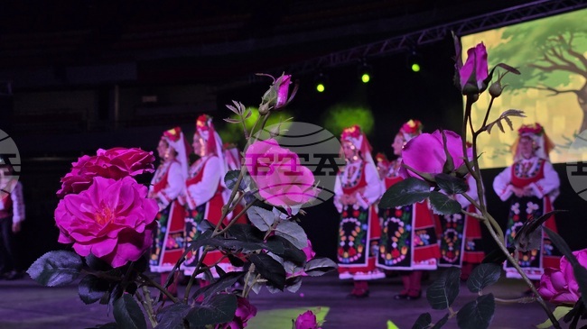 Day Two of 10th Edition of "Expats Join Hands in Worldwide Dance" Festival to Take Place in Lyon