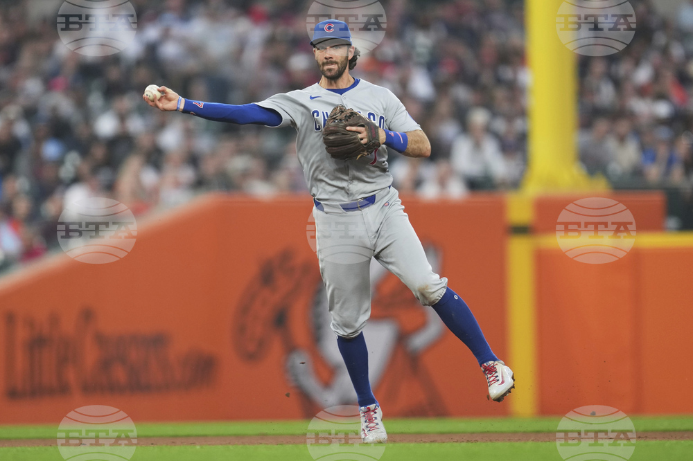 Cubs Tigers Baseball