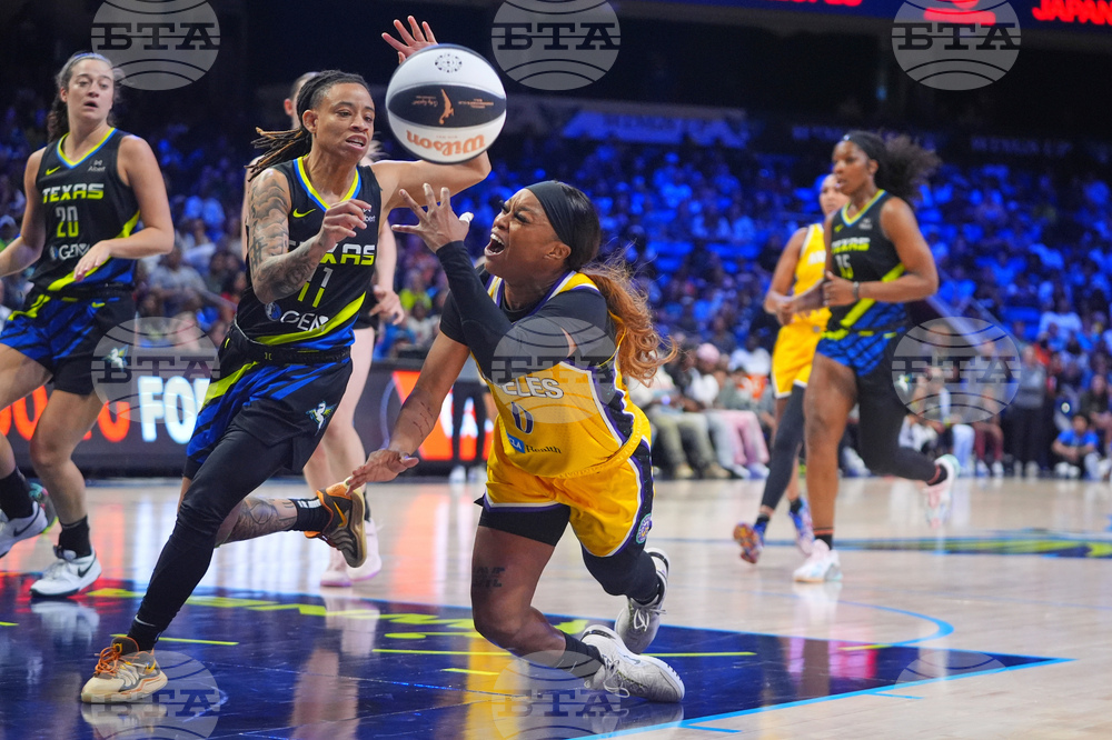 Sparks Wings Basketball