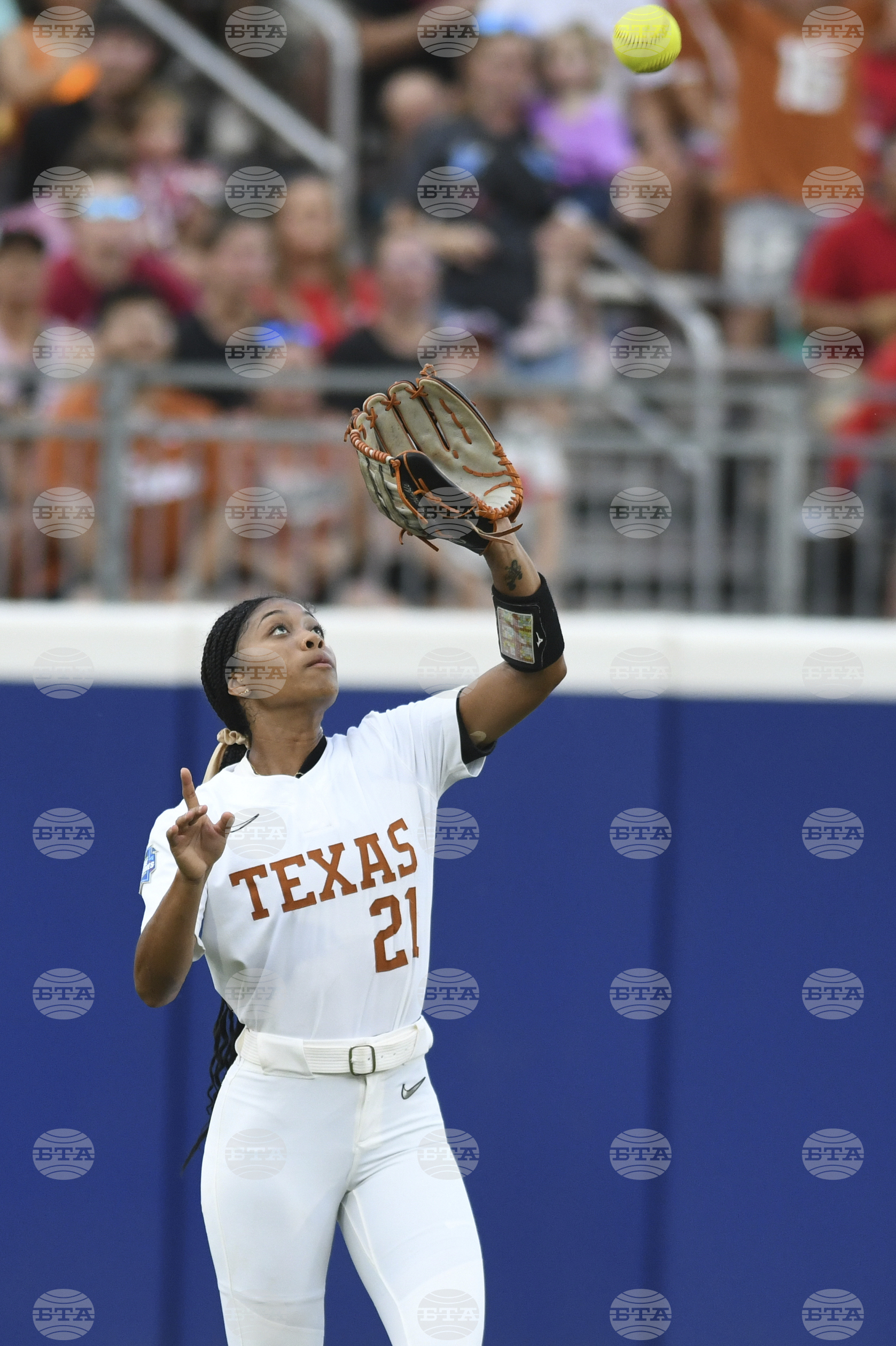 Texas Texas Tech Softball