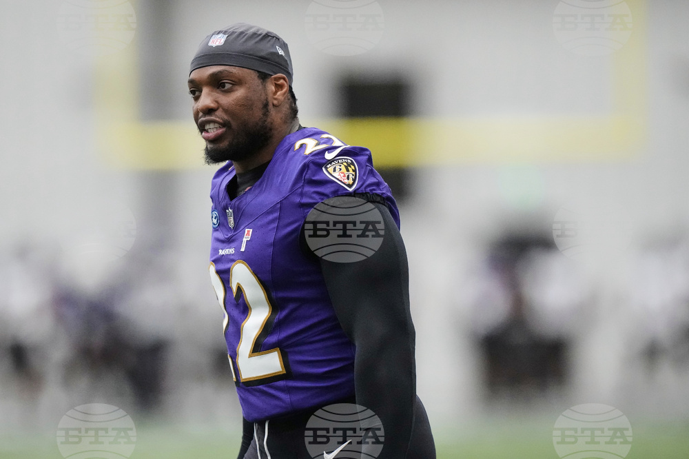 Ravens Henry Sandler Movie