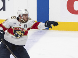 Stanley Cup Panthers Oilers Hockey