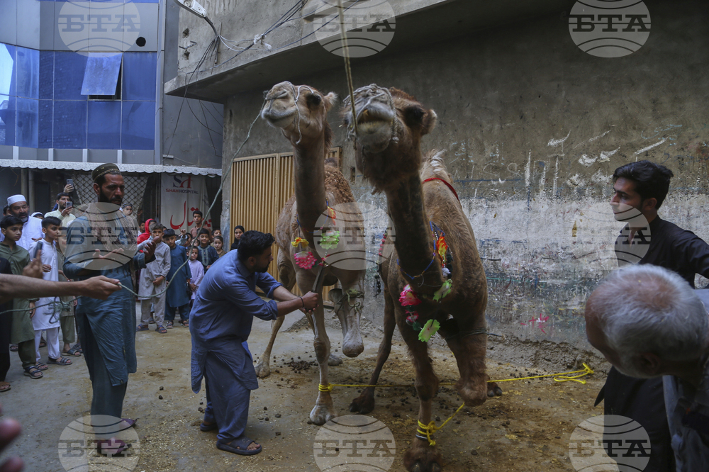 Pakistan Eid al-Adha