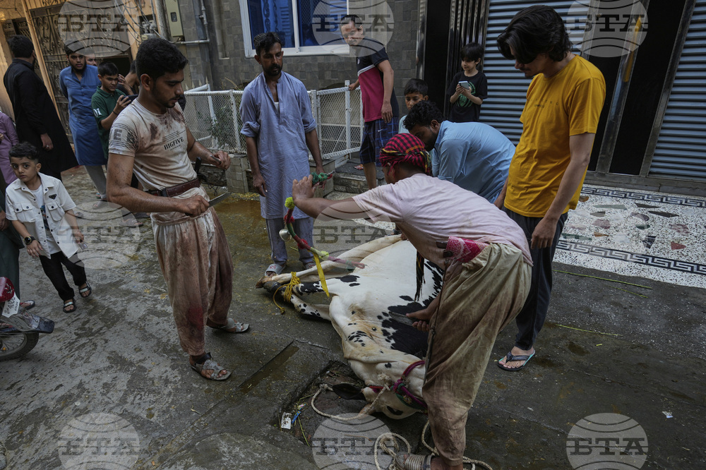 Pakistan Eid al-Adha