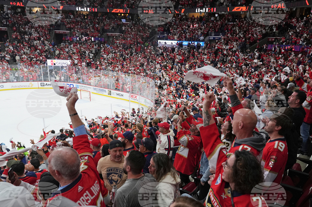 Hockey In The South