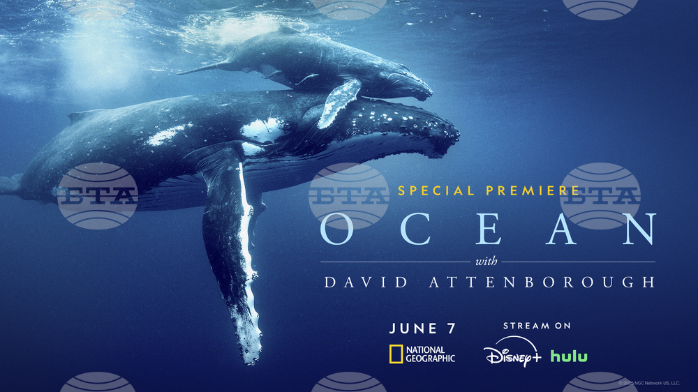 Film Climate Ocean Attenborough