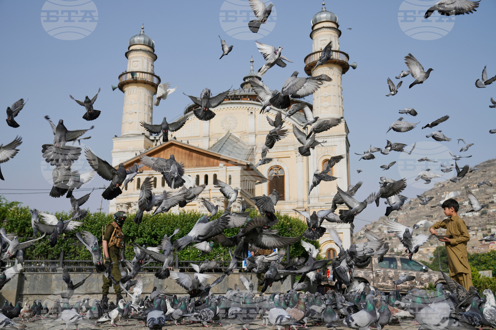 Afghanistan Eid al-Adha