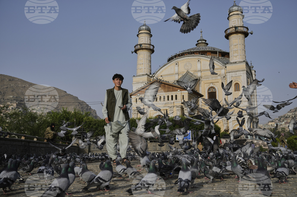 Afghanistan Eid al-Adha