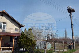 Село Конуш - първи щъркели