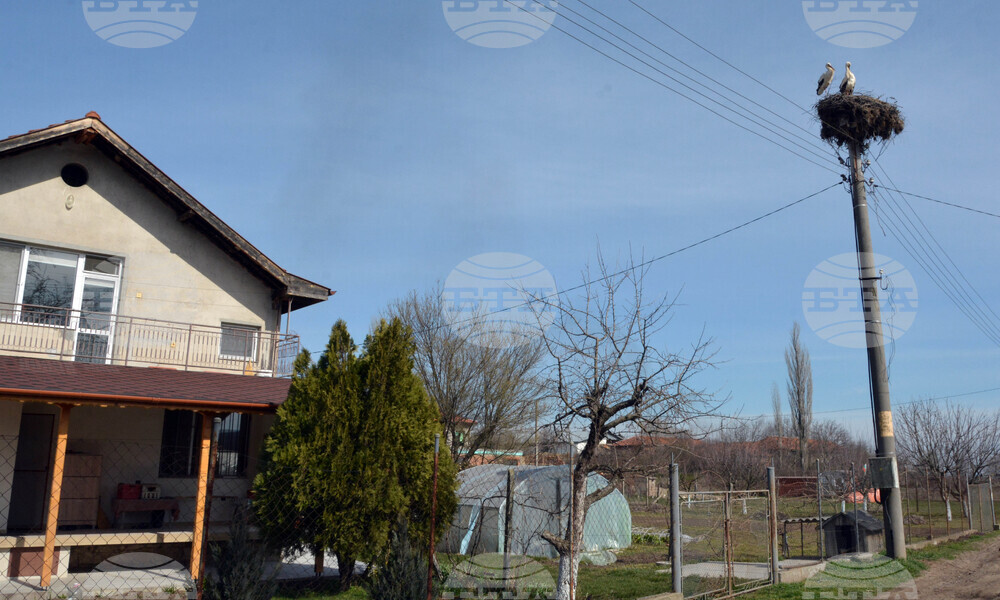 Село Конуш - първи щъркели