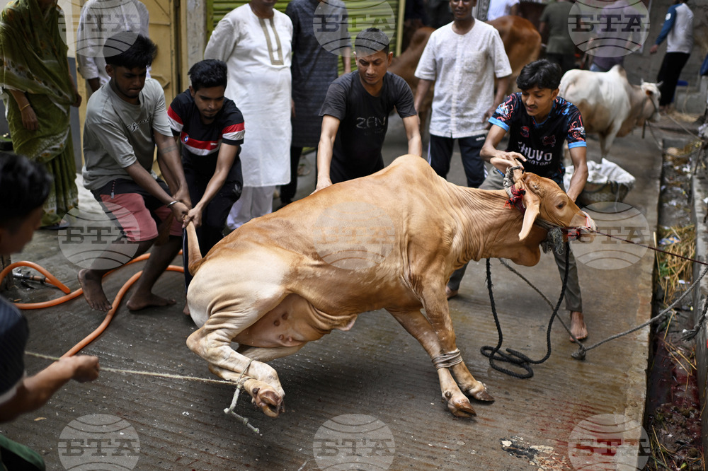 Bangladesh Eid al Adha