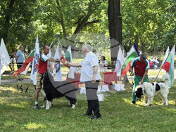 Видин - киноложка изложба