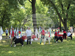 Видин - киноложка изложба