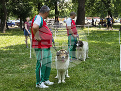 Видин - киноложка изложба