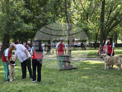 Видин - киноложка изложба