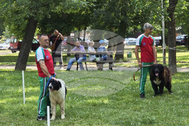 Видин - киноложка изложба