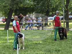 Видин - киноложка изложба