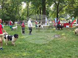 Видин - киноложка изложба