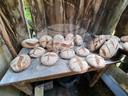 Село Еремия - екологични храни - базар