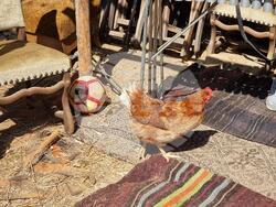 Село Еремия - екологични храни - базар