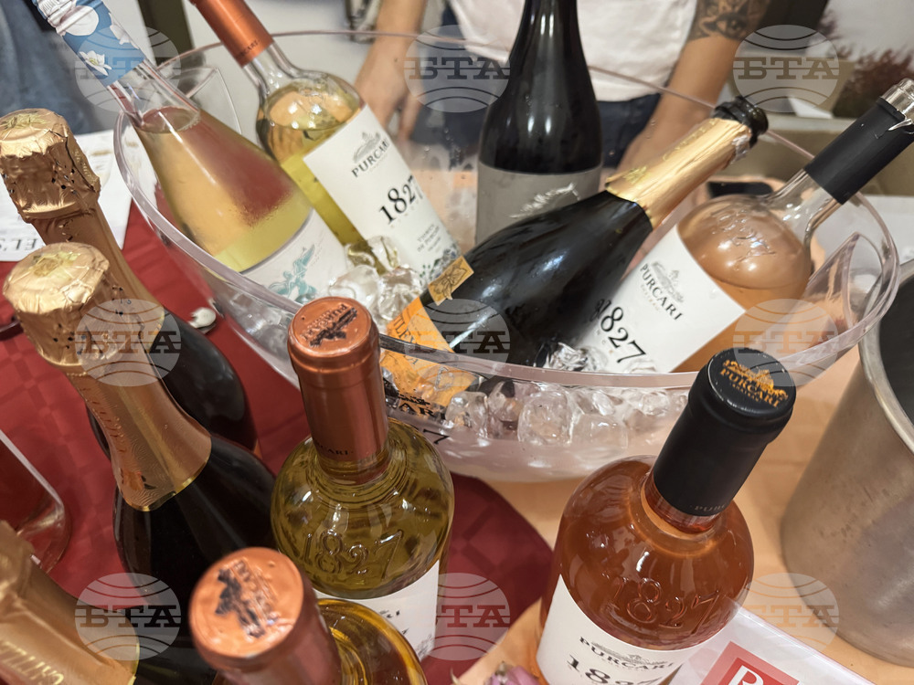 Казанлък - Rose Wine Expo - фестивал