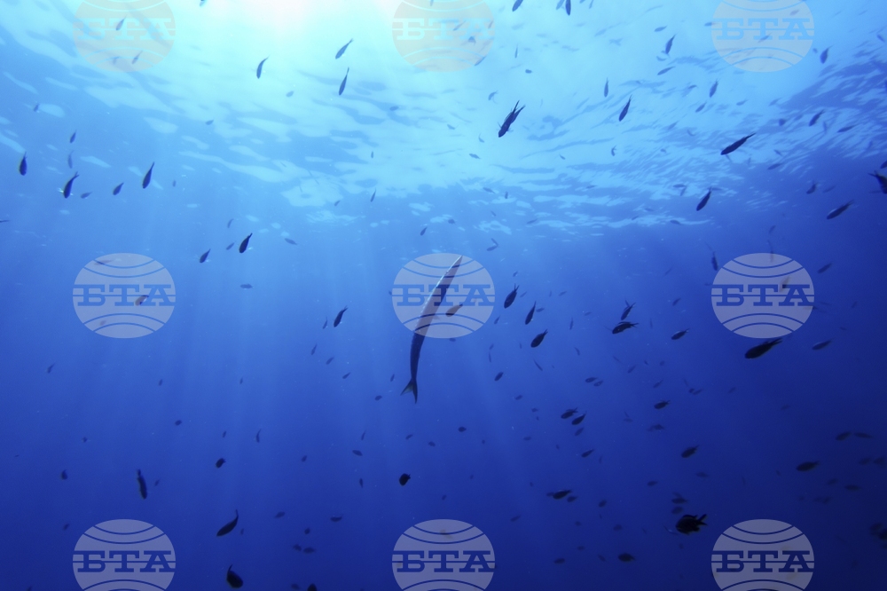APTOPIX Climate France UN Ocean Conference