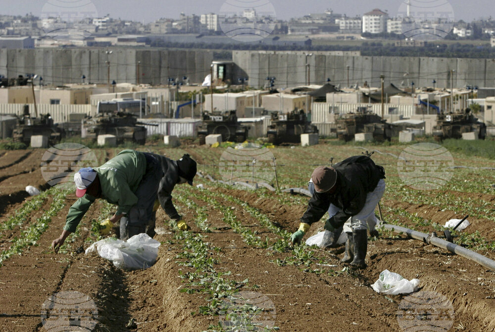 Thailand Gaza Hostages Explainer