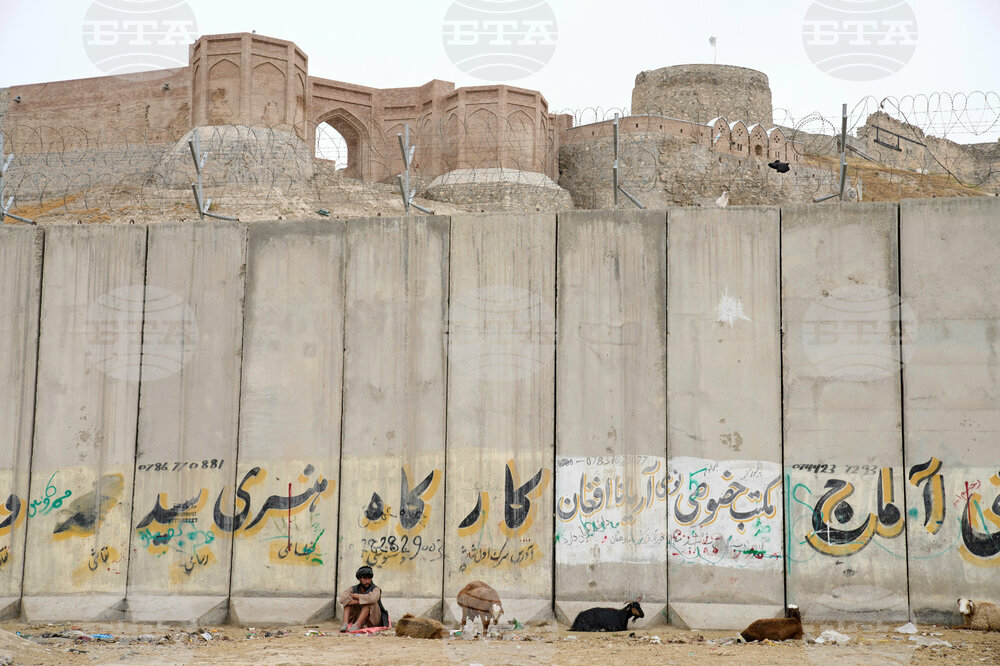 Afghanistan Eid al-Adha Life