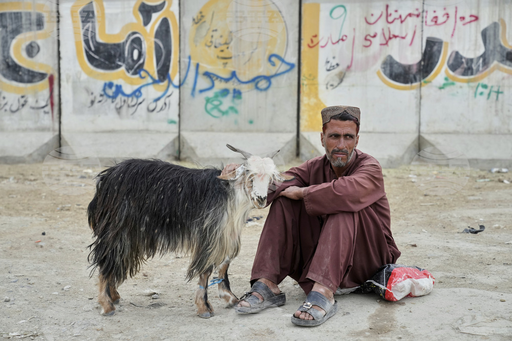 Afghanistan Eid al-Adha