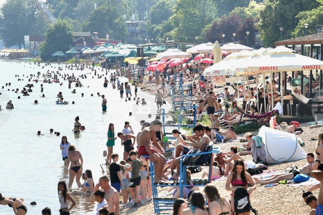 В Сърбия е въведен червен предупредителен код за горещо време, до петък се очакват 42 градуса 