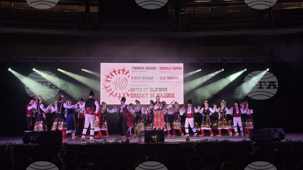 Third Stage Session Held in Lyon as Part of 10th "Expats Join Hands in Worldwide Dance" Festival