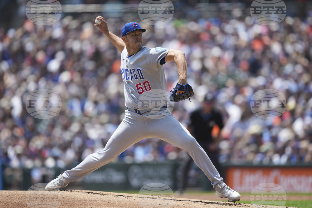 Cubs Tigers Baseball