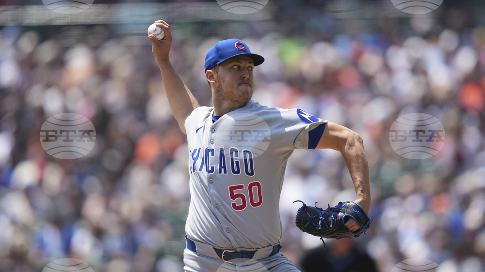 Cubs Tigers Baseball